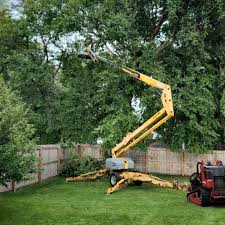 Best Hazardous Tree Removal  in Meadowbrook, AL