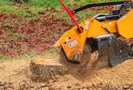 Best Tree Preservation Services  in Meadowbrook, AL